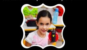 Após dez dias internada, menina que ficou gravemente ferida em acidente de...
