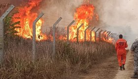 Governador confirma pedido de apoio da Força Aérea para combate às queimadas...