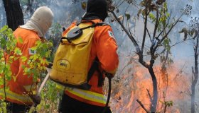 OPORTUNIDADE: Saiu o Edital para contratação emergencial de brigadistas com...