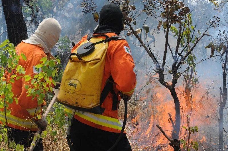 OPORTUNIDADE: Saiu o Edital para contratação emergencial de brigadistas com 10 vagas para Rolim de Moura
