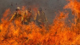 Polícia Ambiental prende 42 pessoas por queimadas e aplica mais de R$ 262...