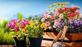 Uma pausa para a secura e as queimadas: chegou a primavera