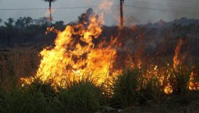 AGU pede R$ 89 milhões de infratores por queimadas em RO, PA e AM
