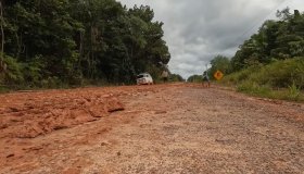 Desembargador federal autoriza continuidade de obras na BR-319; veja decisão
