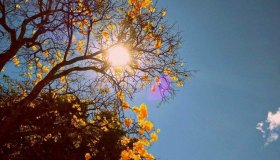 Domingo de sol e possíveis temporais em RO durante o dia de votação
