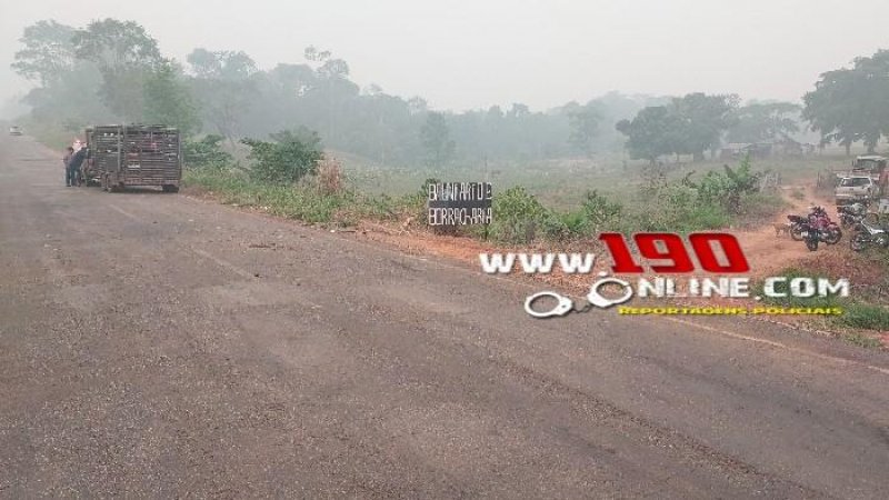 Foto 3 da matéria: Motorista tenta adentrar em propriedade rural e provoca grave acidente