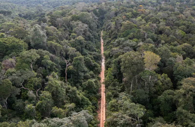 Floresta amazônica — Foto: Divulgação/André Dib