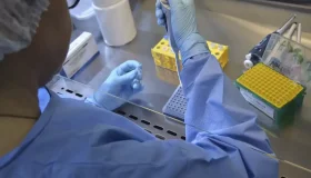 Nova variante do vírus que causa a Covid é identificada em três estados