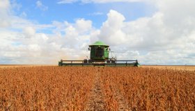 Produção de grãos tem resultado favorável e movimenta economia de Rondônia...