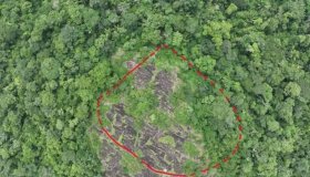 Cidade portuguesa do século 18 é descoberta na floresta amazônica, no...