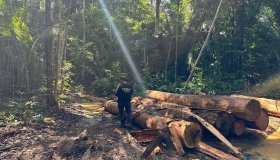 PF deflagra operação em combate aos crime ambientais na reserva indígena...