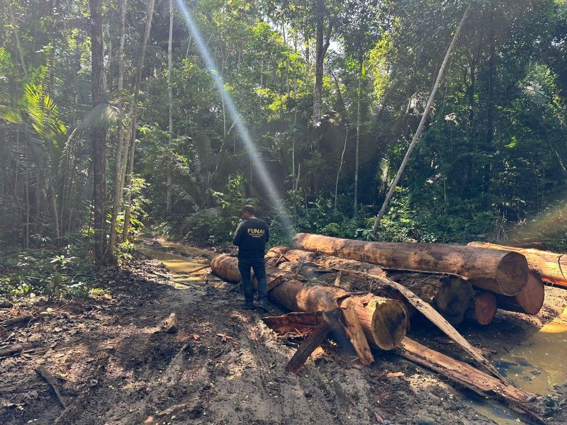 PF deflagra operação em combate aos crime ambientais na reserva indígena Igarapé Lage/RO
