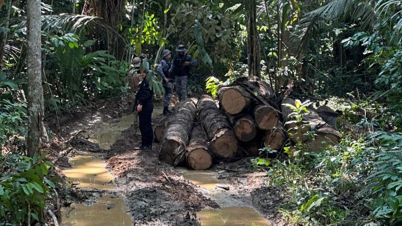 Foto 2 da matéria: PF deflagra operação em combate aos crime ambientais na reserva indígena Igarapé Lage/RO