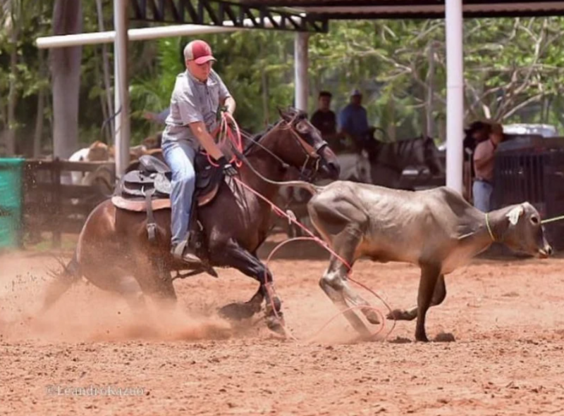 Revelação do Team Roping em Rondônia: Gustavo Feitosa, o talento de Rolim de Moura