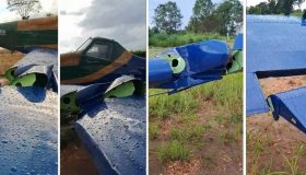 Avião bate em árvore após piloto desviar de cães na pista do aeroporto de...