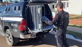 Com mandados em Parecis, PC do Paraná realiza operação contra