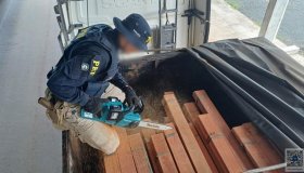 Em Ji-Paraná/RO, PRF identifica transporte irregular de madeira