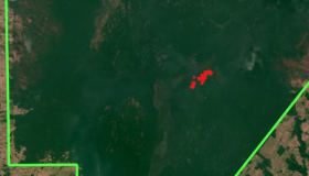 Garimpo desmata mais de 23,5 mil hectares em 9 meses na Terra Indígena Sete de...