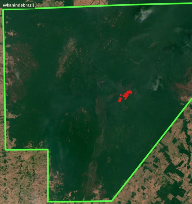 Garimpo desmata mais de 23,5 mil hectares em 9 meses na Terra Indígena Sete de Setembro em RO