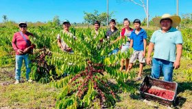 Governo de Rondônia publica Edital de Chamada Pública para Programa de...