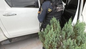 Polícia Civil de Rondônia Desmantela Esquema de Fraudes no Idaron em Alta...