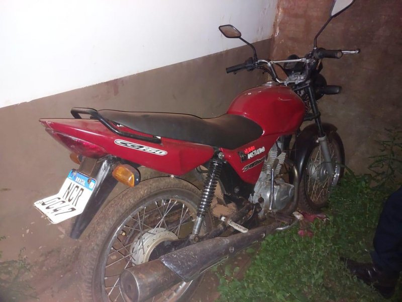 Reprodução