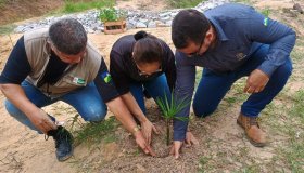 Recomposição florestal de Áreas de Preservação Permanente é realizada em...
