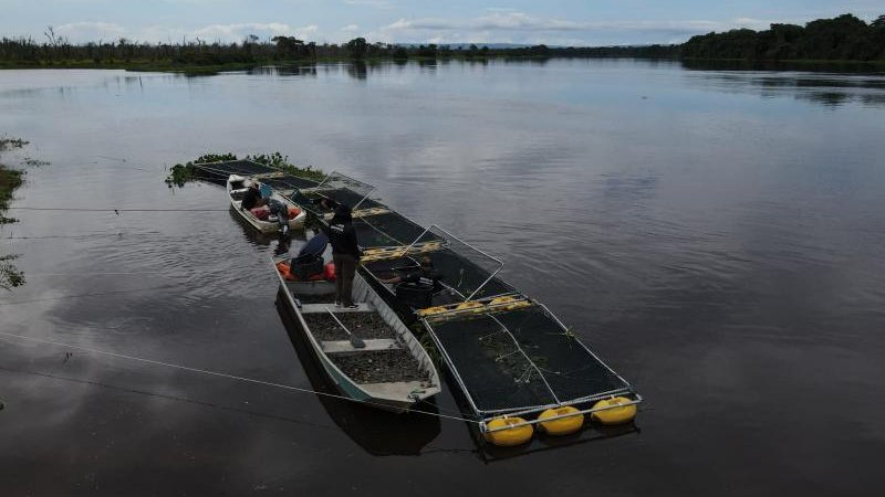Foto 7 da matéria: Soltura de Quelônios no Parque Estadual Corumbiara Reflete Avanço na Conservação da Biodiversidade