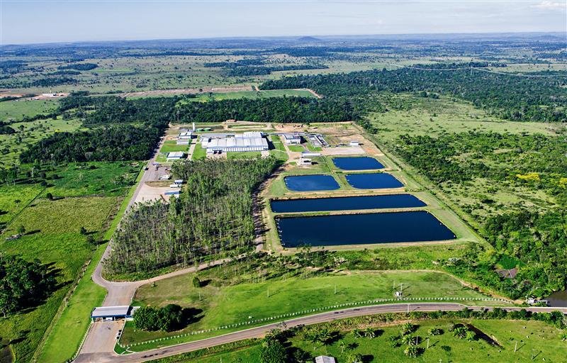 Unidade da Minerva Foods em Rolim de Moura (RO) recebe habilitação para exportar aos Estados Unidos