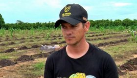 A história de superação da família Hel após ataque a lavoura de café em...