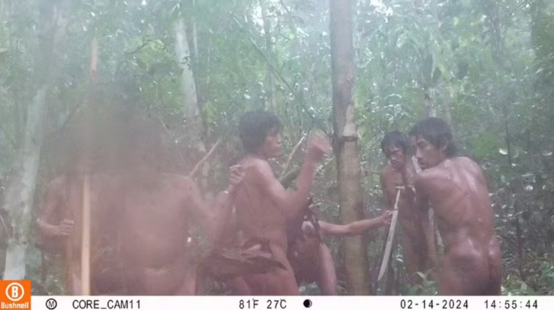 Imagens inéditas mostram indígenas isolados do interior de Rondônia