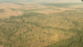 MP-RO abre inquérito para apurar desmatamento de área maior que 600 campos de...