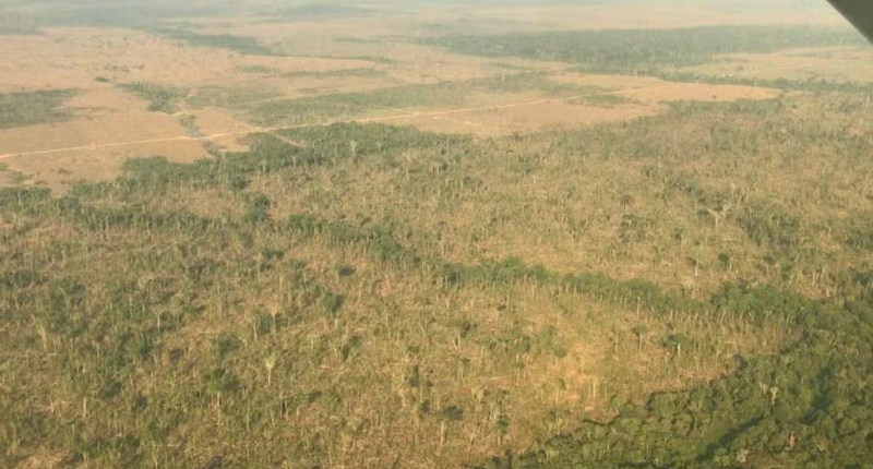 MP-RO abre inquérito para apurar desmatamento de área maior que 600 campos de futebol em RO