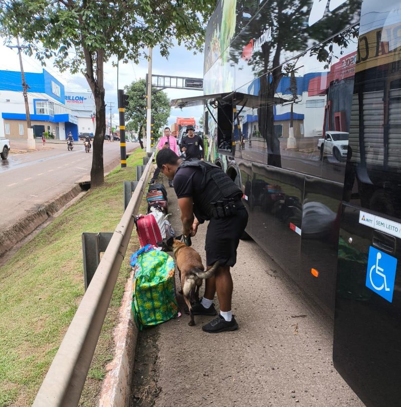 PM Realiza Grande Apreensão de Drogas em Cacoal