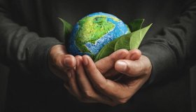 Sustentabilidade empresarial: Estratégias para um crescimento responsável