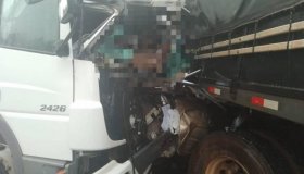 Batida frontal de caminhões deixa motorista morto em trecho de rodovia federal...