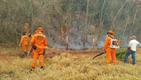 Curso de Brigadista para Combate a Incêndios Florestais será oferecido em...
