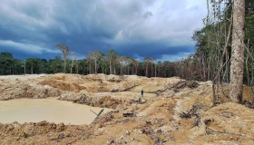 Garimpo avança em Terra Indígena de Rondônia, mostram imagens de satélite...