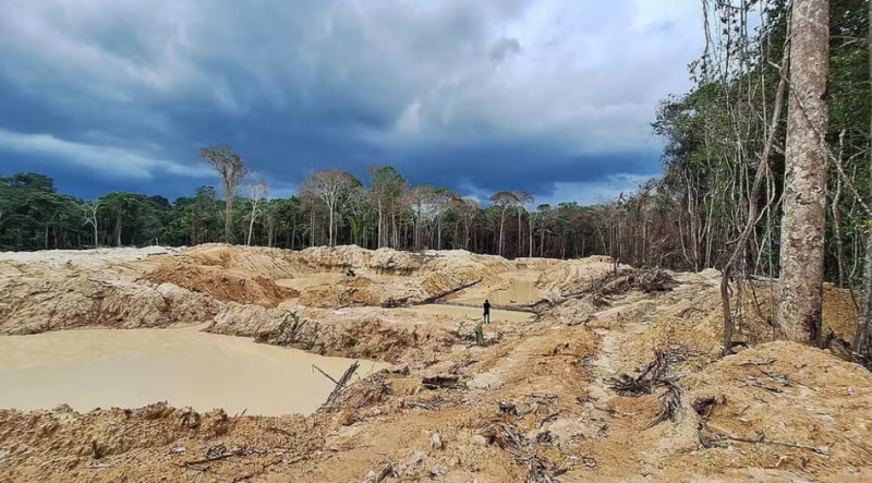 Garimpo avança em Terra Indígena de Rondônia, mostram imagens de satélite divulgadas pelo Greenpeace