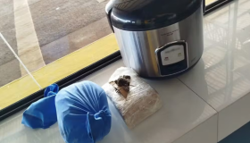 PRF encontra droga escondida em panela elétrica durante fiscalização em...