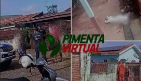 Resgate dramático após novo ataque de cães pitbull em residência na Avenida...