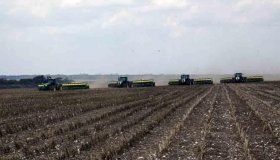 Safra de soja em Rondônia aproxima-se dos 80% de área colhida com expectativa...