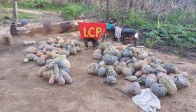 Acampamento de sem terra é atacado por pistoleiros em Rondônia