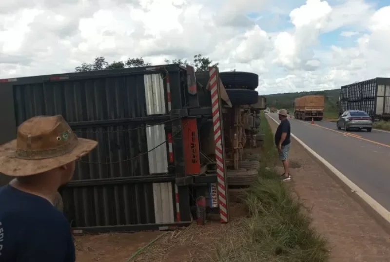 Acidente com caminhão boiadeiro deixa animais mortos na BR-364 próximo a Vilhena