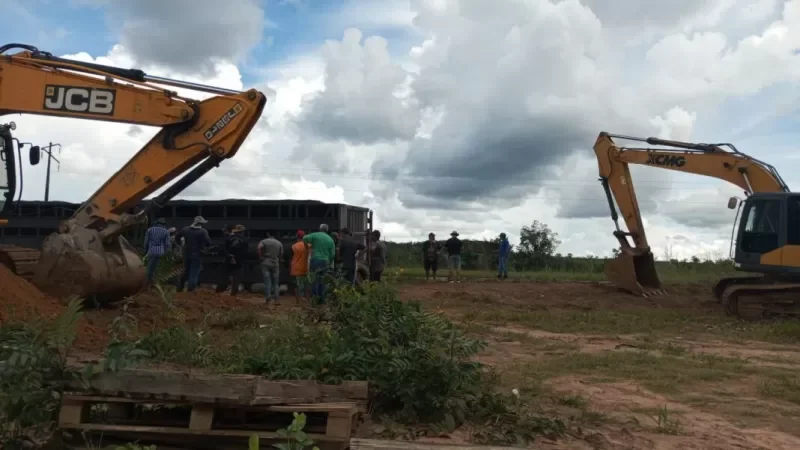 Foto 1 da matéria: Acidente com caminhão boiadeiro deixa animais mortos na BR-364 próximo a Vilhena