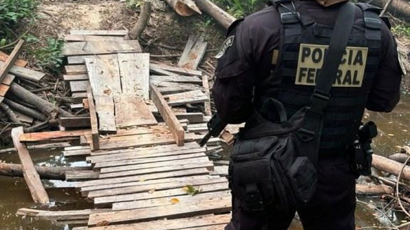 Foto 1 da matéria: PF combate grilagem de terras na Terra Indígena Igarapé Lage em Rondônia
