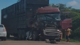 Vídeo: Frente de caminhão carregado de gado fica destruída após colisão...