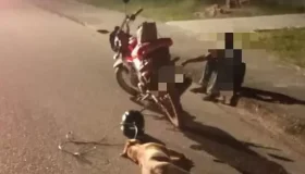 Homem é conduzido à delegacia após ser flagrado arrastando cachorro com...