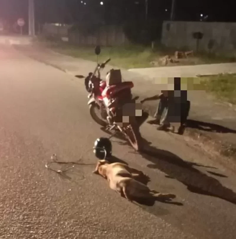 Homem é conduzido à delegacia após ser flagrado arrastando cachorro com moto, em Santa Luzia do Oeste