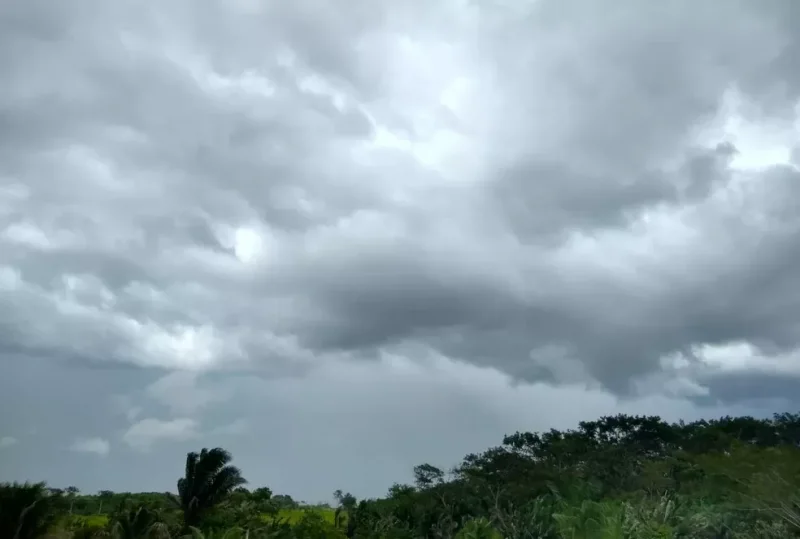 Friagem deve atingir Rondônia na próxima semana